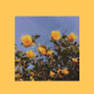 Meet your Posher, Blanca